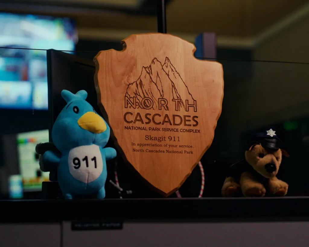 Strategic Plan for Skagit 911